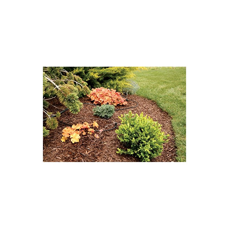 Rain Bird Drip Irrigation Micro-Bubbler Stake - 4-Pack