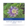 Natur Boutique Passion Flower Tea Sachets, 30 g, 20 Count