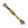 DMC 117-840 6 Strand Embroidery Cotton Floss, Medium Beige Brown,