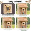 ZJ1WYZQQ Bluebird House Predator Guard， with Copper Gate Predator Protection