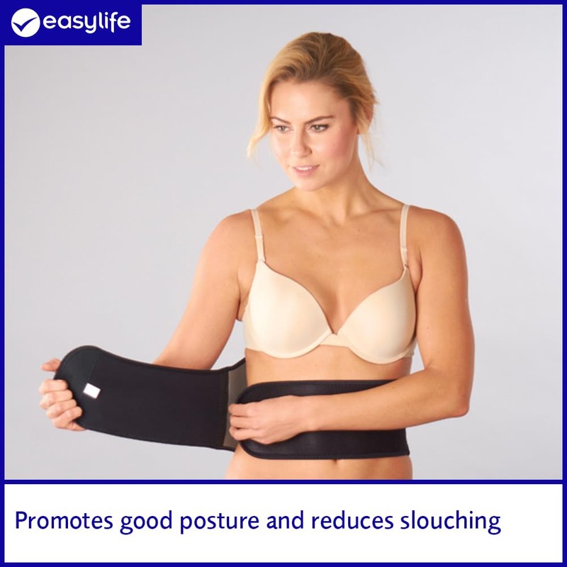easylife lifestyle solutions Titanium Back Support | Good Posture and