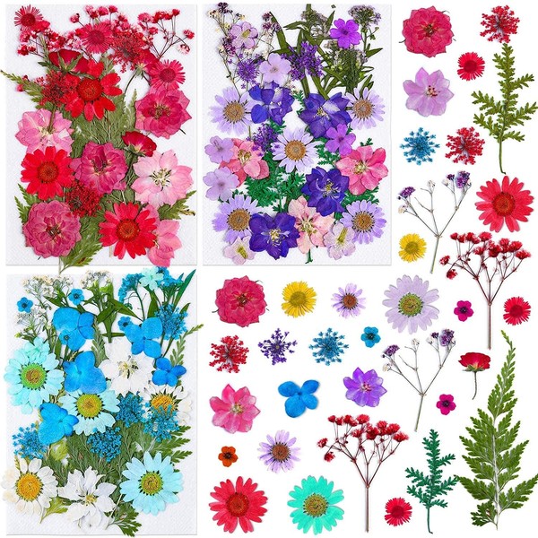 Thrilez 100Pcs Pressed Dried Flowers for Resin Molds, Natural Dried Flower Herbs kit for Scrapbooking Supplies Card Making Supplies Resin Jewelry Making Soap and Candle Making(Blue, Purple, Red)