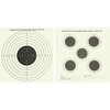 Bisley 100 Double Sided Airgun Targets 17cm (6.75") Card Airgun