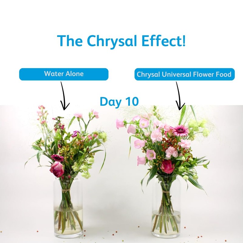 Chrysal Flower Boost – Clear Flower Food Packets for Flower