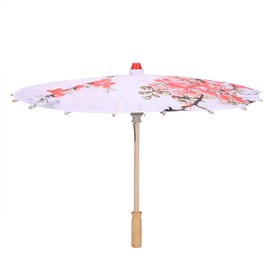 Craft Dance Umbrella Classical Printing Silk Cloth Umbrella Ceiling Decoration for Kids Performance PropsType C S