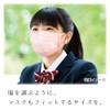 [Biho Mask, Safe Made in Japan, Disposable Non-woven Mask, Flat