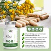 VH3 My Para Treatment with Rainfern Herb, Clove Extract, Artichokes