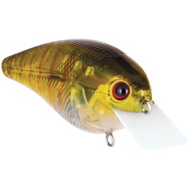 Team Livingston Series Primetyme SQ 2.0 True Bream