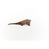 Schleich Iguana Toy Figure Realistic Wild Life Animal For Kids