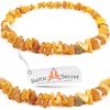 Amber Dog Cat Chain Collar for Protection Against Ticks, Baltic