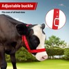 Cow Halter Cattle Halters Adjustable Calf Halter with Leading Rope