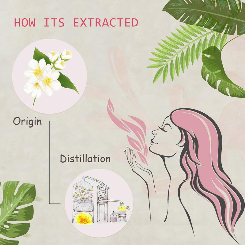 2-Pack Jasmine Essential Oil - 100% Pure Organic Natural Plant