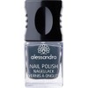 alessandro Nail Polish 76 New York Grey 10ml