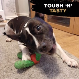 TastyBone QuattroBone Nylon Dog Chew Toy for Large Dogs (Chicken Tikka) - Indestructible for Aggressive Chewers, Everlasting Flavour, Strong Healthy Teeth, Made in the UK