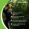 Nature's Plus NaturesPlus ActiZyme - Digestive Enzymes Supplement with Probiotics,
