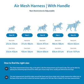 BullyBillows Air Mesh Dog Harness - Non-Restrictive, Ultra Soft, Adjustable, Anti-Pull Design with Handle - Perfect for Any Dog Breed | Carminerose | XLarge