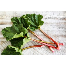 Rhubarb Seeds Rare Heirloom Vegetable for Planting Giant Non GMO 30 Seeds