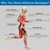 Self Adhesive Wrap Cohesive Wrap Bandages 6 Count 3" x