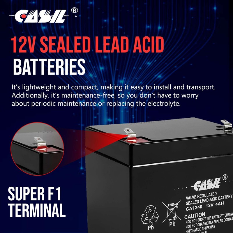 Casil CA1240 Genuine 12V 4Ah SLA Alarm Battery (2 Pack)