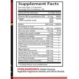 SKIN CARE SOLUTION biotin supplement - ANTI GRAY HAIR COMPLEX - horsetail stem and leaf extract - 3