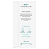 96° Mint Tea - 20 Pyramid Tea Bags, Individually Wrapped,