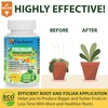 Citrus Tree Specific Organic Liquid Kelp Fertilizer by Gardenera -