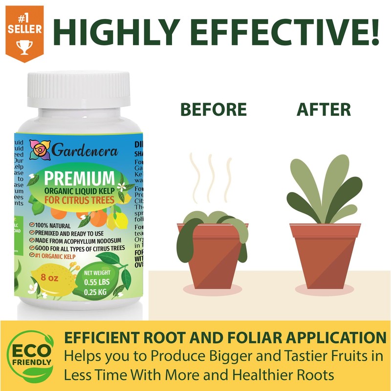 Citrus Tree Specific Organic Liquid Kelp Fertilizer by Gardenera -