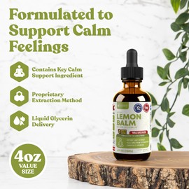 Active Lemon Balm - Advanced Lemon Balm Liquid Extract - Calm Support - Vegan Sugar Free Non GMO 4oz Value Size