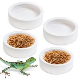 Tfwadmx 4 Pack Reptile Food Bowl, Mini Ceramic Water Feeder Bowl, Reptile Worm Feeding Dish for Lizard Turtle Bearded Dragon Anoles Crested Gecko Hermit Crab Leopard Gecko Chameleon Corn Snake