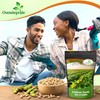 Outsidepride Soybean Seeds - 10 lbs High-Protein & High Yield