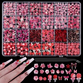editTime 3D Camellia Rose Nail Art Flower and Butterfly Bow Charms, 24 Different Style Acrylic Flower Bud Hydrangea Spring Blossom Petal Nail Art Rhinestones Gems with Nail Tweezers (24grids-red)