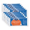 BioGuard Smart Shock 1 lb, Pack of 12, Algae Preventative,