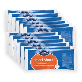 BioGuard Smart Shock 1 lb, Pack of 12, Algae Preventative, Swimming Pool Clarifier, Pool Shock Treatment, Multi-Purpose Shock for Pool Maintenance