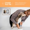 Pearhead Pawprint Keepsake Picture Frame and Clay Impression Kit, Pet