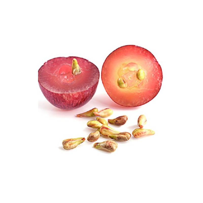 Simple Solution Simple Solution Chew Stopper, Deterrent for Puppy Training