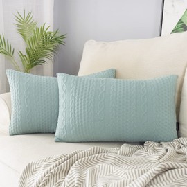 Booque Valley Rectangular Throw Pillow Covers, Pack of 2 Super Soft Elegant Modern Knit Lumber Spring Light Green Cushions, Oblong Pillowcases for Sofa Bed Car Chair, 12 x 20 inch (Seafoam)