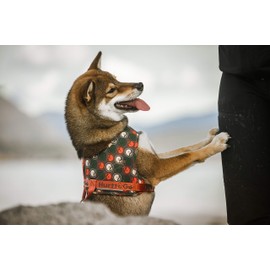 Hurtta Go Harness Padded Dog Harness for Small and Large Dogs, Adjustable Front, with Handle and Reflective Band, Red, 65-80 cm