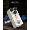 Pogolab Delay Pedal, Delay Pedals for Electric Guitar, Analog Delay