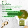 Té Matcha Ceremonial 250g Grado Puro-matcha Japón ¡orgánico!