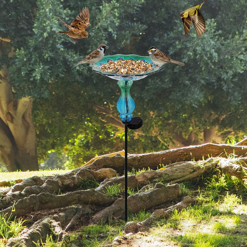 John's Studio Peacock Bird Bath for Outdoor - Glass Bowl