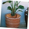 SUPVOX Coconut Palm Silk Soil Coir Mulch Fiber for Planting