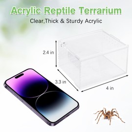 Apatal Acrylic Tarantula Enclosure Box Small Reptile Terrarium 4x3.3x2.4in Transparent Sling Cage Magnetic Jumping Spiders Habitat Breeding Tank for Lizard Scorpion Insect Isopods Invertebrates