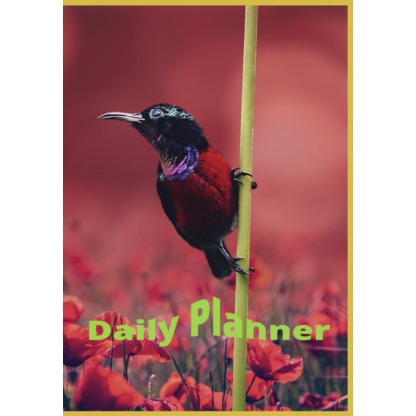 Daily undated planner, weekly, Monthly planner