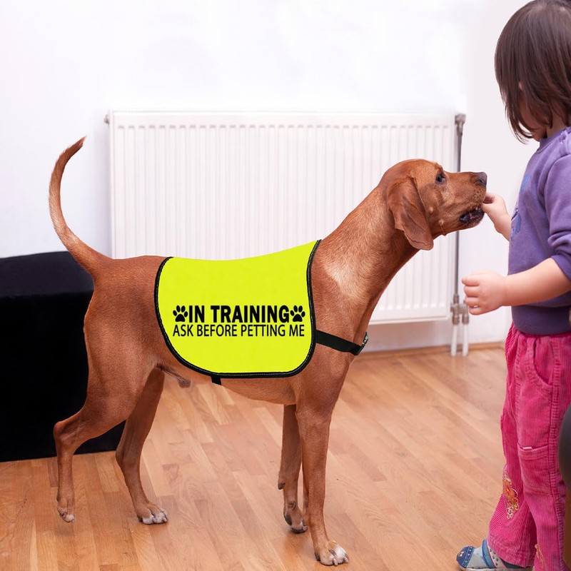 In Training Please Don't Approach/Ask Before Petting Me Dog Jacket