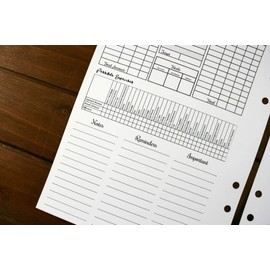 A5 Size Planner Monthly Budget at A Glance, A5 Ring Binder Planner Budget Organization, A5 Size Bill Pay, Expense Tracker, Possible Expenses