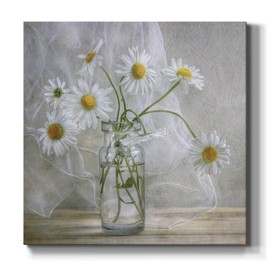 Renditions Gallery Daisies Wall Art, Premium Gallery Wrapped Canvas Decor, Ready to Hang, 16 in H x 16 in W, Made in America Print