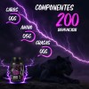 Creatina Monohidratada 1kg En Polvo Panther Protein Sabores