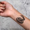 4 x 'Wood Snake' Temporary Tattoos - Water Resistant, Skin-Safe,