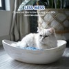 COCOYO Lavender-Scented Crystal Cat Litter I Silica Gel Cat Litter
