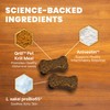 VetriScience Allergy & Itch Support Chews, Skin and Coat Supplement